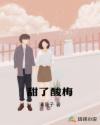 甜了酸梅